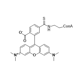 ConA-TRITC,刀豆球蛋白 A -四甲基异硫氰酸罗丹明