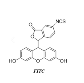 AuNRs-PEG-FITC,金纳米棒-聚乙二醇-异硫氰酸荧光素