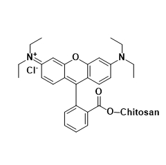 CS-RB,壳聚糖-罗丹明B