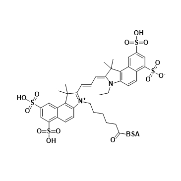 CY3.5-BSA,花菁染料CY3.5-牛血清白蛋白