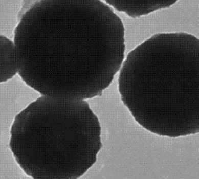 Dextran-Fe3O4,葡聚糖-四氧化三铁