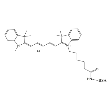 CY5-BSA,花菁染料Cy5-牛血清白蛋白