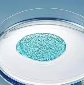 CS-Dex Hydrogel Loaded with Native Copper,壳聚糖-葡聚糖水凝胶载自然铜