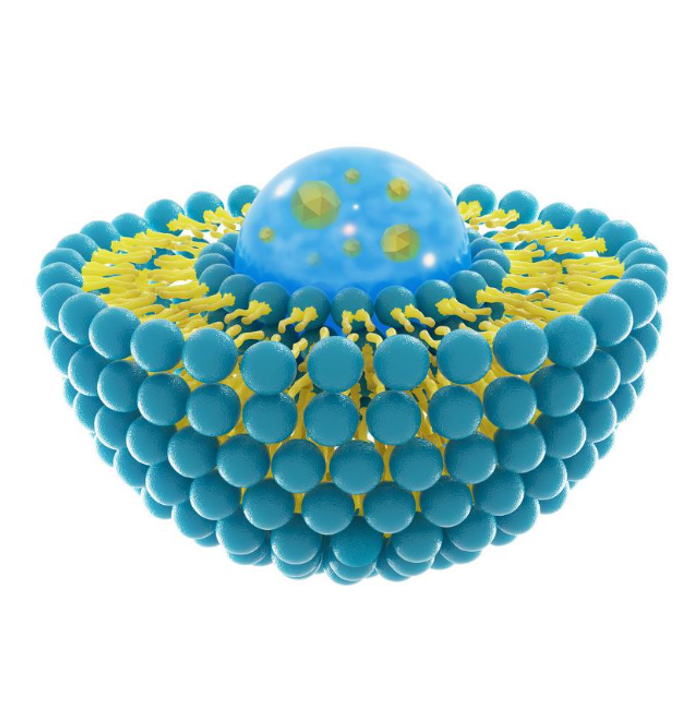 DIR-LNP@siRNA,近红外荧光染料-脂质纳米颗粒包裹小干扰RNA