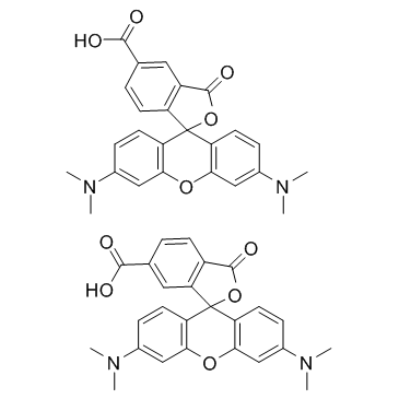 5(6)-TAMRA,5(6)-羧基四甲基罗丹明