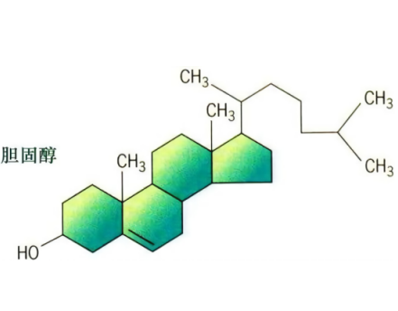 Cholesterol-PEG-mal-cys-DSSDSSDSSDSSDSSDSS-K-FITC,胆固醇-聚乙二醇-马来酰亚胺-半胱氨酸-多聚丝氨酸-赖氨酸-异硫氰酸荧光素