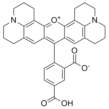5-ROX,5-羧基-X-罗丹明