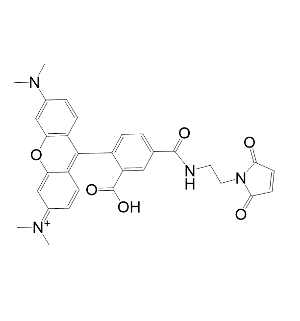 5-TAMRA-MAL,5-四甲基罗丹明-马来酰亚胺