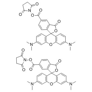 5(6)-TAMRA SE,5(6)-羧基四甲基罗丹明琥珀酰亚胺酯