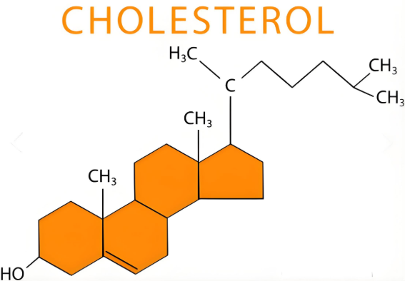 Cholesterol-PEG-mal-CAQK-FITC,胆固醇-聚乙二醇-马来酰亚胺-CAQK肽-异硫氰酸荧光素