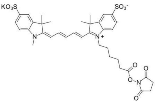 Sulfo-Cy5-NHS,磺酸基五甲川花菁染料-N-羟基琥珀酰亚胺