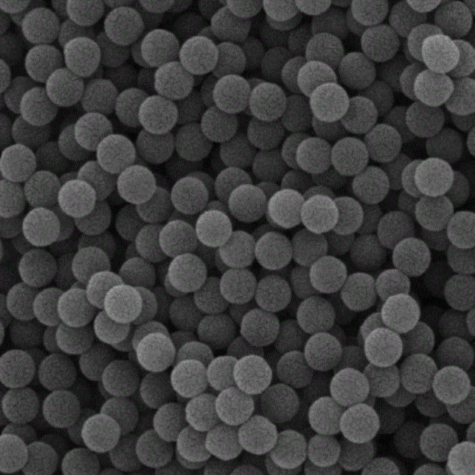PS magnetic bead,聚苯乙烯磁珠