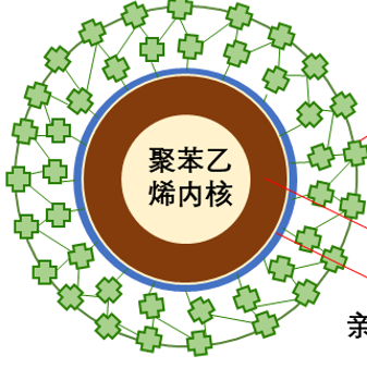 Sa magnetic beads,链霉亲和素磁珠