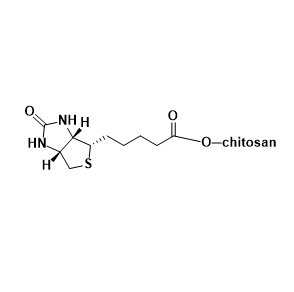 CS-biotin,壳聚糖-生物素