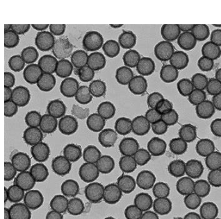 Hollow Mesoporous Manganese Dioxide 中空介孔二氧化锰 （150nm）的优缺点