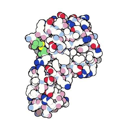 溶菌酶的化学性质、稳定性及热稳定性研究