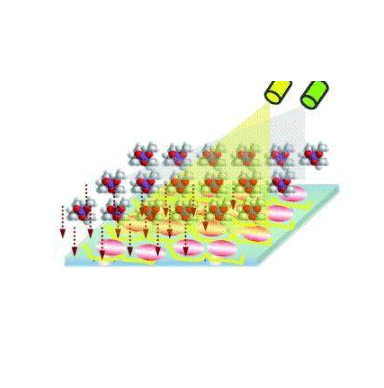 杂化膜包裹ZIF-8负载比亚酶的制备方法