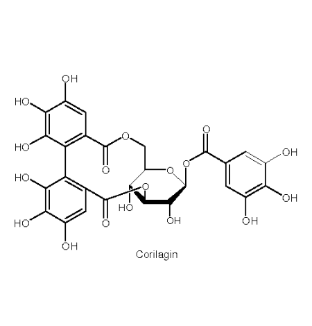 单宁酸纳米粒子与生物大分子的相互作用机制