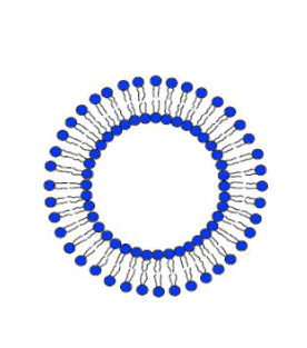 Folic acid-labeled liposomes encapsulating CY7 叶酸标记脂质体包CY7的制备方法
