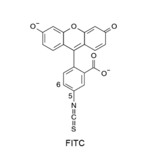 FITC-L-苏氨酸与生物大分子的相互作用研究