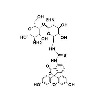 CS-FITC,异硫氰酸荧光素标记壳聚糖