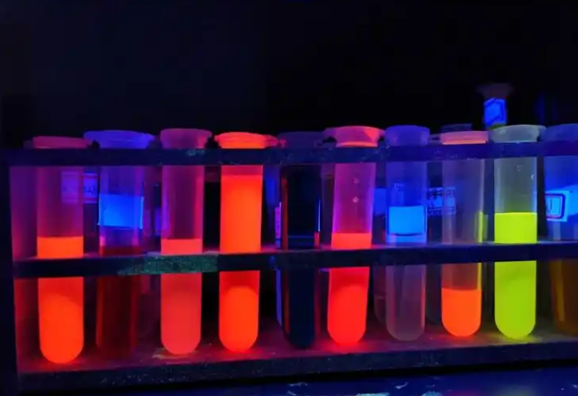 异硫氰酸荧光素（FITC）-葡聚糖外渗作为BBB通透性的测量