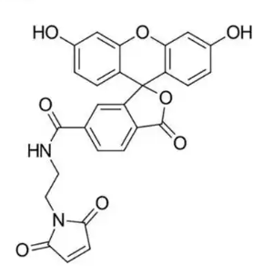 6-FAM-MAL,6-羧基荧光素-马来酰亚胺