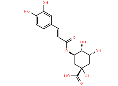 绿原酸-巯基   Chlorogenic acid-Thiol  绿原酸-SH的相关介绍