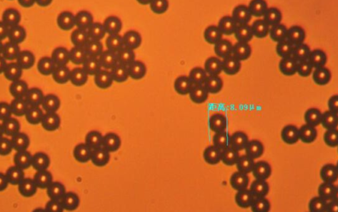 SiO2红色荧光微球  Red fluorescent SiO microspheres的应用领域