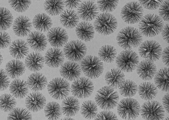 树枝状介孔二氧化硅  Dendritic Mesoporous Silica Microspheres的相关应用