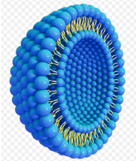 CY5.5-tgg2-liposome@ZIF-8@FGF8b. CY5.5-tgg2-脂质体@ZIF-8@FGF8b的制备方法