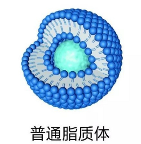 空白脂质体/对照脂质体Blank liposome的定制