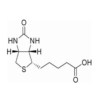 biotin,生物素
