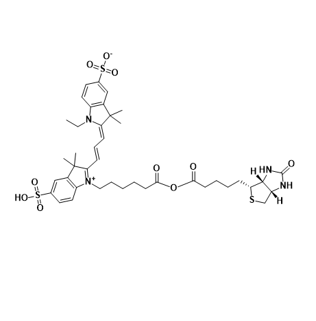 CY3-Biotin,三甲川花菁染料-生物素