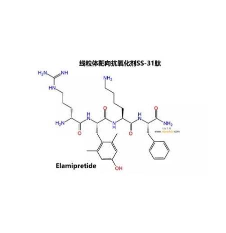 Elamipretide-biotin SS-31肽-生物素的制备方法