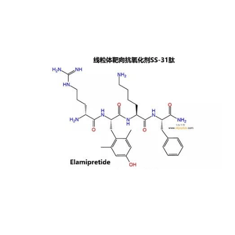 SS-31肽（D-Arg-Dmt-Lys-Phe-NH2）的性质及特点