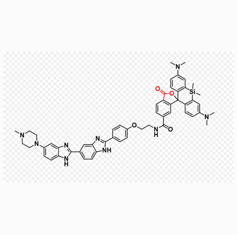 Hochest修饰硅基罗丹明染料  SiR-Hochest fluorescent dye的相关描述