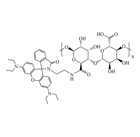 Rhodamine B-Alginate、RhB-Alginate 罗丹明B-海藻酸钠的应用