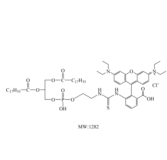 磷脂-罗丹明B DSPE-Rhodamine B DSPE-RhB 的构成