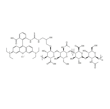 RhB-hyaluronic acid 罗丹明B-透明质酸 Rhodamine B-hyaluronan的应用