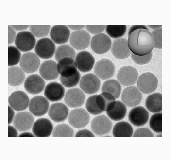 链霉亲和素包被的上转换纳米颗粒  Streptavidin-UCNPs (NaYF4:Yb, Er)的应用