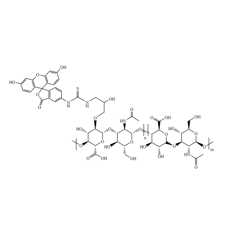 异硫氰酸荧光素-透明质酸 FITC-hyaluronan的应用