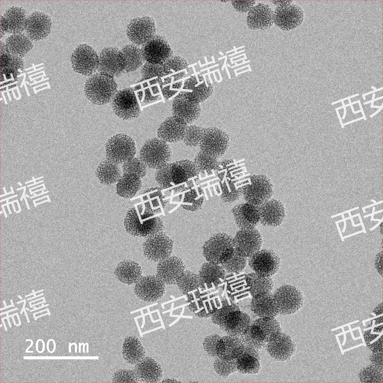 Dendritic Mesoporous SiO2,树枝状介孔二氧化硅