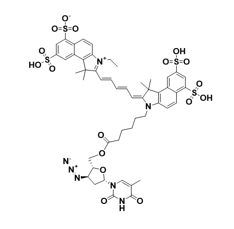 CY5.5-SOD,花菁染料 Cy5.5-抗氧化酶