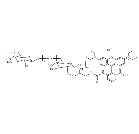 RB-Dextran 罗丹明B-葡聚糖 Rhodamine B-Dextran 的应用