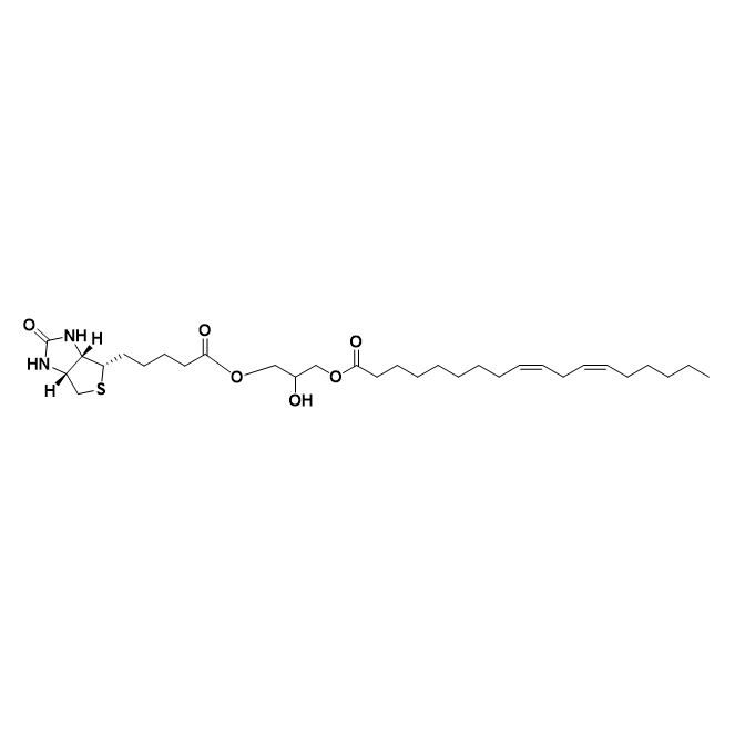 Biotin-LA,生物素-亚油酸