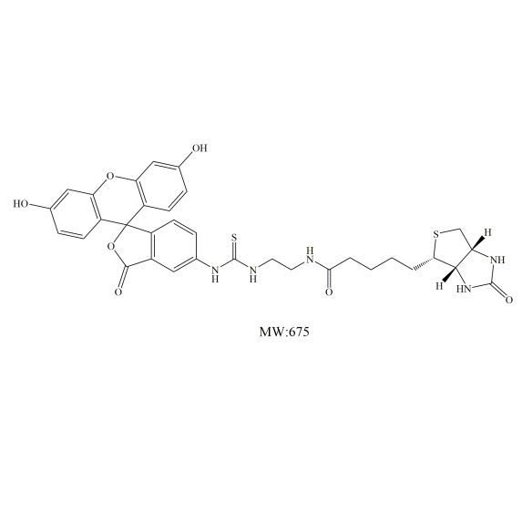 异硫氰酸荧光素-生物素 CAS：134759-22-1 FITC-BIOTIN的应用