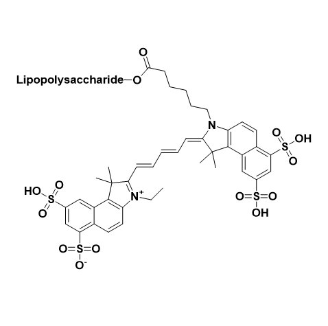 Cy5.5-LPS,花菁染料 Cy5.5-脂多糖