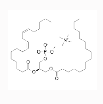 CAS：8002-43-5  大豆磷脂  Soya Lecithin  大豆卵磷脂的简介