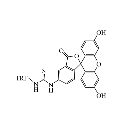 异硫氰酸标记转铁蛋白、FITC-Transferrin 荧光素-转铁蛋白 的应用
